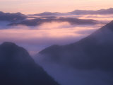 Valley Mist at Dawn, South West National Park, Tasmania, Australia Photographie par Grant Dixon
