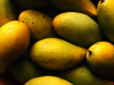Nam Doc Mai Mangoes for Sale at Rapid Creek Market, Darwin, Australia Photographic Print by Will Salter