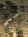 Road from Baboon Cliff, Lake Nakuru National Park, Kenya Photographic Print by Anders Blomqvist
