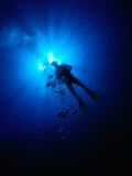 Diver in Persian Gulf, United Arab Emirates Lámina fotográfica por Chris Mellor Diver in Persian Gulf, United Arab Emirates Lámina fotográfica por Chris Mellor
