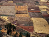 Fields in Urubamba Valley, Urubamba, Cuzco, Peru Photographic Print by Shannon Nace