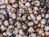 Cloves of Garlic, Italy Photographic Print by Chris Mellor