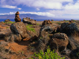 The Garden of the Gods, Lanai, Hawaii, USA Photographic Print by Ann Cecil