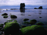 Aesha Stack and Seaweed-Covered Boulder at Low Tide, Papa Stour, Shetland Islands, Scotland Photographie par Grant Dixon