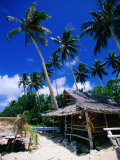 Thatched Hut on Beach, Yap Island, Yap State, Micronesia Lámina fotográfica por Michael Aw