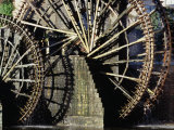 Triple Noria (Wooden Water Wheel), Hama, Syria Photographic Print by Tony Wheeler