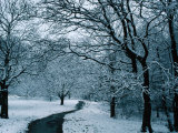 Hampstead Heath in Winter, London, England Photographic Print by Lawrence Worcester