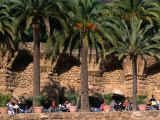 Outdoor Cafe Beneath Palm Trees in Parc Guell, Barcelona, Spain Photographic Print by Anders Blomqvist