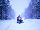 Snowmobile Driving Through Forest, Finland Lámina fotográfica por David Tipling Snowmobile Driving Through Forest, Finland Lámina fotográfica por David Tipling