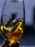 Extra Virgin Olive Oil in a Wine Glass, Spain Photographic Print by Oliver Strewe