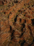 Aerial of the Bungle Bungles, Purnululu National Park, Western Australia, Australia Photographic Print by Richard I'Anson