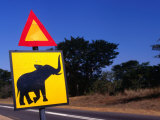 Warning Sign on Road Victoria Falls Park, Matabeleland North, Zimbabwe Fotografisk tryk af John Borthwick Warning Sign on Road Victoria Falls Park, Matabeleland North, Zimbabwe Fotografisk tryk af John Borthwick