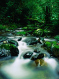 Liwagu River at Kinabalu National Park, Sabah, Malaysia Photographic Print by Mark Daffey