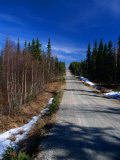 Road Through Forest, Lappi, Finland Photographic Print by David Tipling