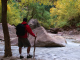 Crossing the Virgin River in the Zion National Park, Zion National Park, Utah, USA Photographic Print by Cheyenne Rouse