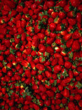 Strawberries on Display, Paris, France Photographic Print by Setchfield Neil