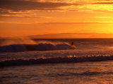 Surfer at St. Kilda Beach, Dunedin, New Zealand Photographic Print by David Wall
