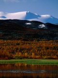 Snow Covered Peaks and Autumn Colours, Skjak, Norway Photographic Print by Anders Blomqvist