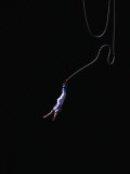 Bungee Jumping from Historic Kawarau Suspension Bridge, Queenstown, Otago, New Zealand Photographic Print by David Wall