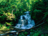 Wagner Falls and Surrounding Vegetation, Munising, USA Photographic Print by Charles Cook