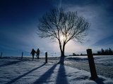 Couple Hiking on a Path with Winter Sun, Zurich, Switzerland Photographic Print by Martin Moos