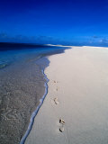 Footprints on Beach, Fiji Photographic Print by Casey Mahaney