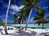 Person Relaxing in Hammock Under Palm Trees on White Sand Beach, Cook Islands Photographie par Manfred Gottschalk