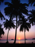 Palm Tree-Lined Hat Kaibae at Sunset, Thailand Photographic Print by Pershouse Craig