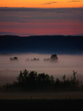 Mist Over Countryside, Calgary, Canada Photographic Print by Rick Rudnicki