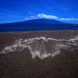 Black Volcanic Sand Beach on Isla Fernandina, Isla Fernandina, Galapagos, Ecuador Photographic Print by Wes Walker
