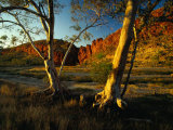 Glen Helen Gorge, West Macdonnell National Park, Australia Photographie par Richard I'Anson