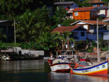 Colourful Fishing Boats Docked In The Harbour, Florianopolis, Brazil Lámina fotográfica por John Maier Jr. Colourful Fishing Boats Docked In The Harbour, Florianopolis, Brazil Lámina fotográfica por John Maier Jr.