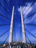 Anders Blomqvist - Cycling Day on Oresund Bridge, Copenhagen, Denmark Fotografická reprodukce Anders Blomqvist - Cycling Day on Oresund Bridge, Copenhagen, Denmark Fotografická reprodukce