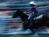 Rider in Rodeo at the Calgary Stampede, Calgary, Canada Photographic Print by Rick Rudnicki