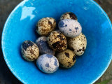 Uzura Tamago, Quail Eggs, Are Considered a Delicacy and Usually Eaten Hard-Boiled, Japan, Photographic Print by Oliver Strewe