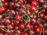 Cherries, Ripponvale, near Cromwell, Central Otago, South Island, New Zealand Photographic Print by David Wall