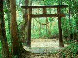 Mountain Shrine, Yakushima, Kagoshima, Japan Reprodukcja zdjęcia autor Rob Tilley Mountain Shrine, Yakushima, Kagoshima, Japan Reprodukcja zdjęcia autor Rob Tilley