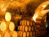 19th Century Wine Cellar, Juanico Winery, Uruguay Photographie par Stuart Westmoreland