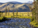 Salmon River near Stanley, Idaho, USA Photographic Print by Chuck Haney
