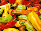 Peppers, Ferry Building Farmer's Market, San Francisco, California, USA Photographic Print by Inger Hogstrom