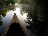 Canoeing Alexander Springs Creek, Ocala National Forest, Florida Photographic Print by Maresa Pryor