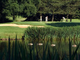 Golfers on the 17th Hole of the Eastmoreland Golf Course, Portland, Oregon, USA Photographic Print by Janis Miglavs