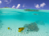 Le Maitai Dream Fakarava Resort, Fakarava, Tuamotus, French Polynesia Photographic Print by Michele Westmorland