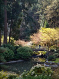 Japanese Gardens in Washington Park, Portland, Oregon, USA Photographic Print by Janis Miglavs