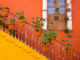 Colorful Stairs and House with Potted Plants, Guanajuato, Mexico Photographic Print by Julie Eggers