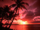 Palms And Sunset at Tumon Bay, Guam Photographic Print by Bill Bachmann