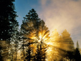 God Rays from Morning Fog Along the Madison River, Yellowstone National Park, Wyoming, USA Photographic Print by Chuck Haney