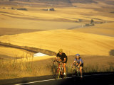 Road Cyclists Biking Through Wheat Harvest, near Pullman, Washington, USA Photographic Print by Chuck Haney