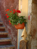 Private Staircase with Flowerpot, Malcesine, Italy Photographic Print by Lisa S. Engelbrecht