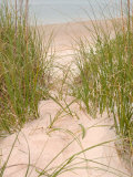 Smyrna Dunes Park, New Smyrna Beach, Florida Photographic Print by Lisa S. Engelbrecht